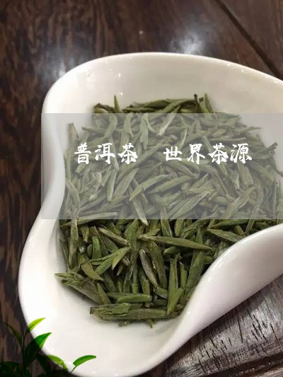 普洱茶 世界茶源/2023041276137